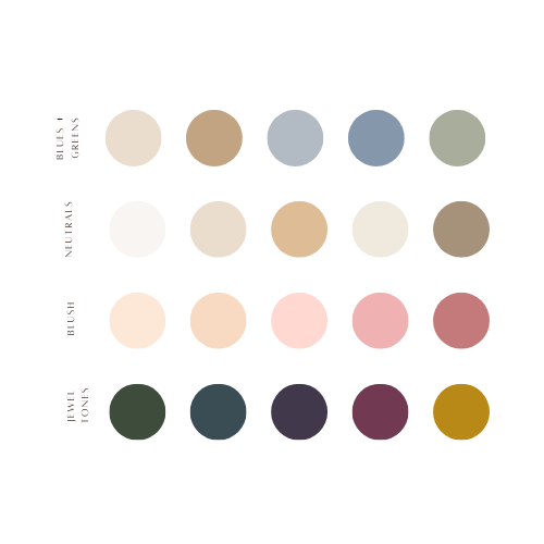 Chart of color palette circles for photography session outfits.